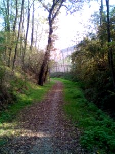 Rivalta(RE)73