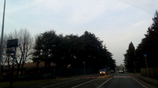 Rivalta(RE) 74