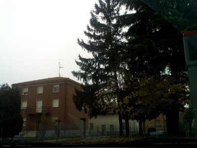 Rivalta(RE)149