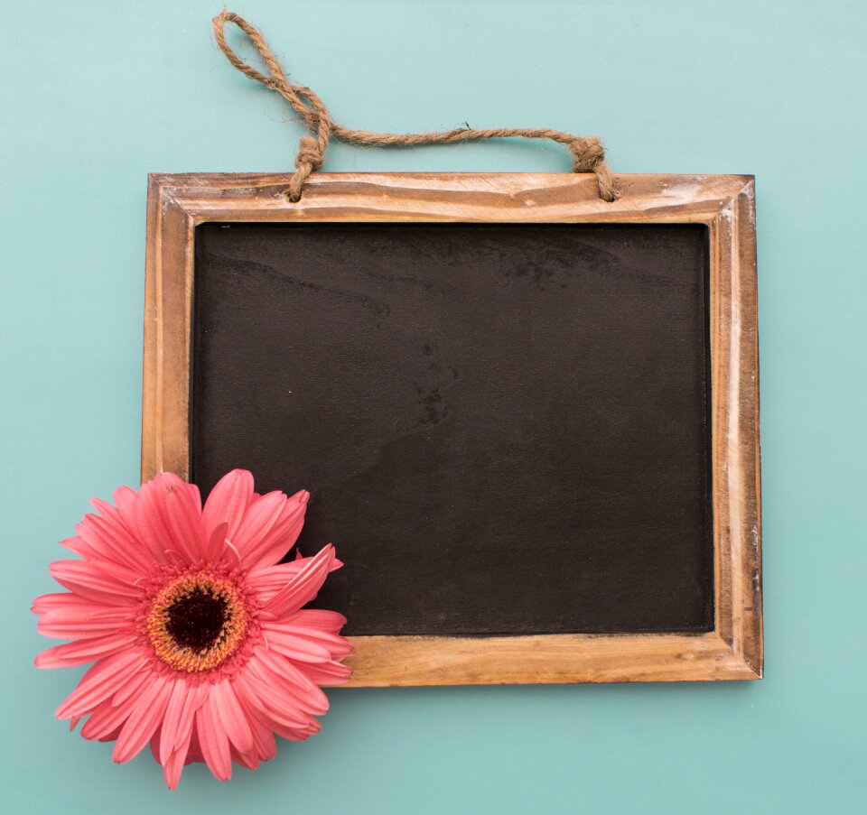 Picture frame flowers background