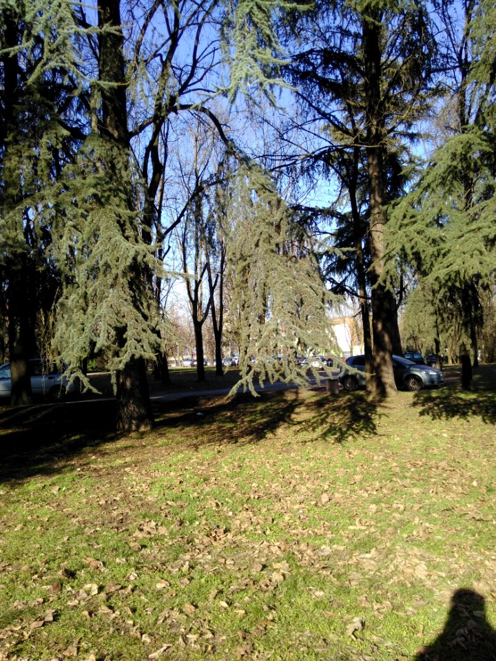 Rivalta(RE) 30