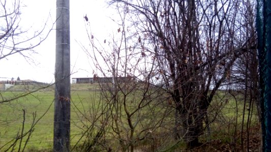 Rivalta(R.Emilia)33
