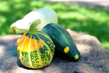 Collect nature the cultivation of