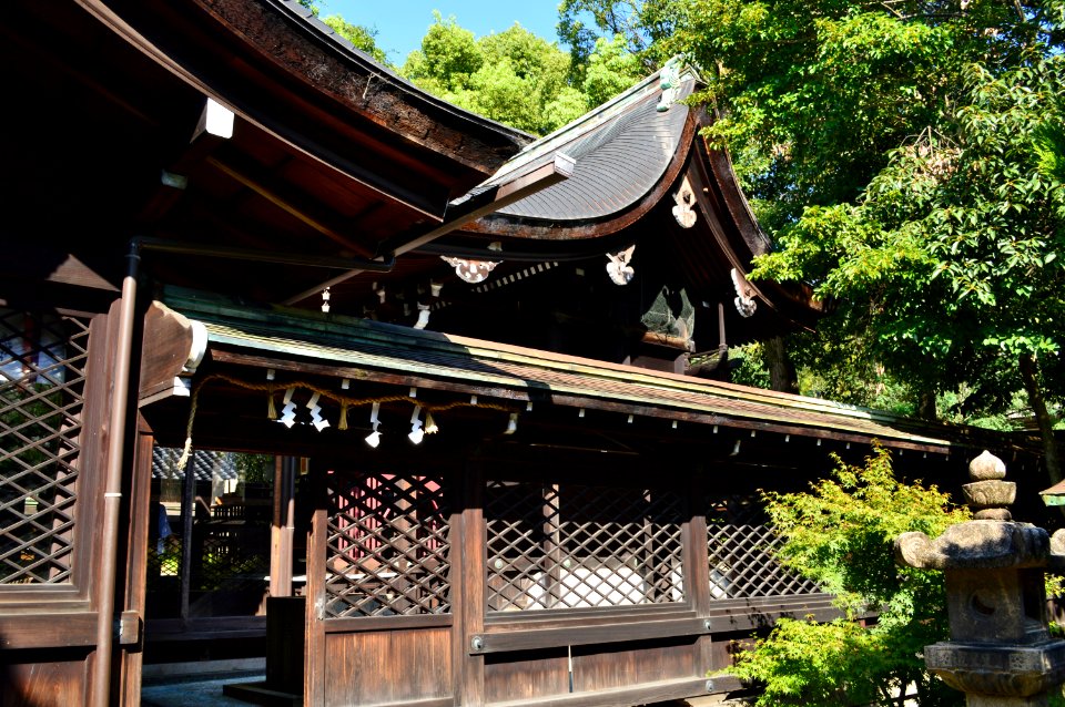 Rikyu-hachimangu, honden