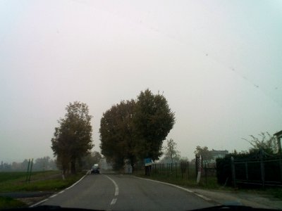 Rivalta(RE)137