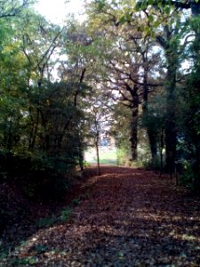 Rivalta(RE)70