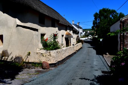Ringmore (2021-07-18) 40