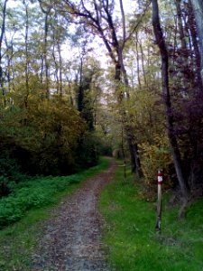 Rivalta(RE)68