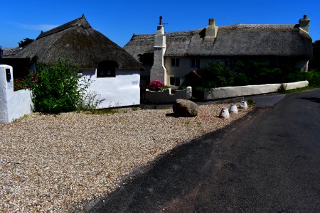 Ringmore (2021-07-18) 44