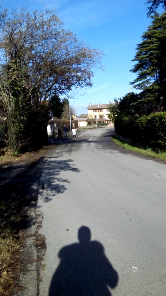 Rivalta(RE) 86