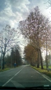 Rivalta(RE)168
