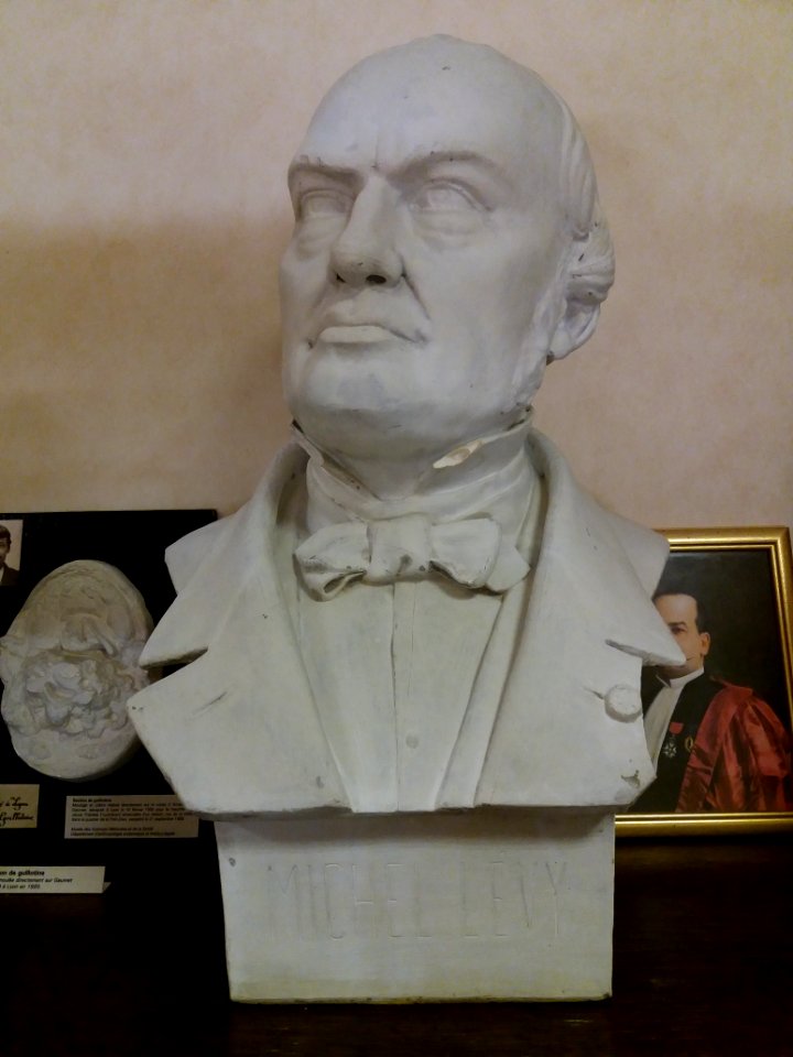 Rillieux-la-Pape - Musée Testut-Latarjet, buste de Michel Lévy