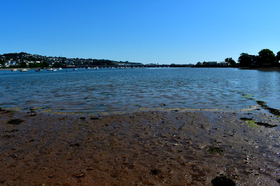 Ringmore (2021-07-18) 19