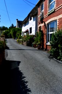Ringmore (2021-07-18) 34