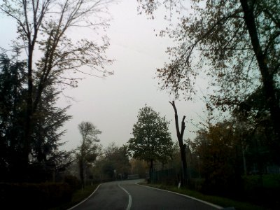 Rivalta(RE)128