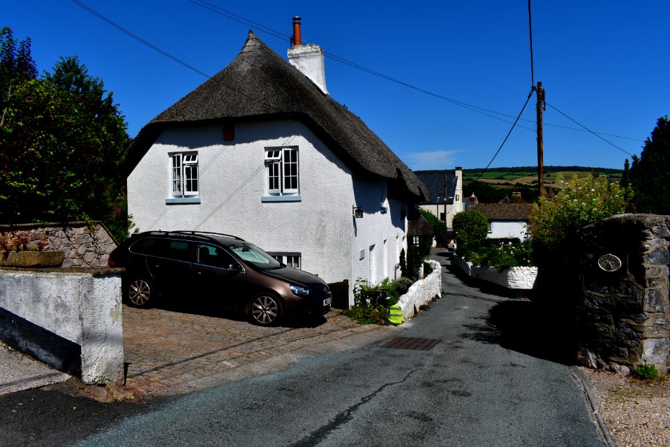 Ringmore (2021-07-18) 38