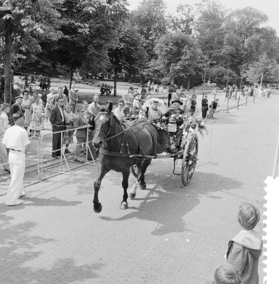 Ringsteken in Middelburg, Bestanddeelnr 911-4599