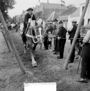 Ringrijden in Middelburg, Bestanddeelnr 904-1508