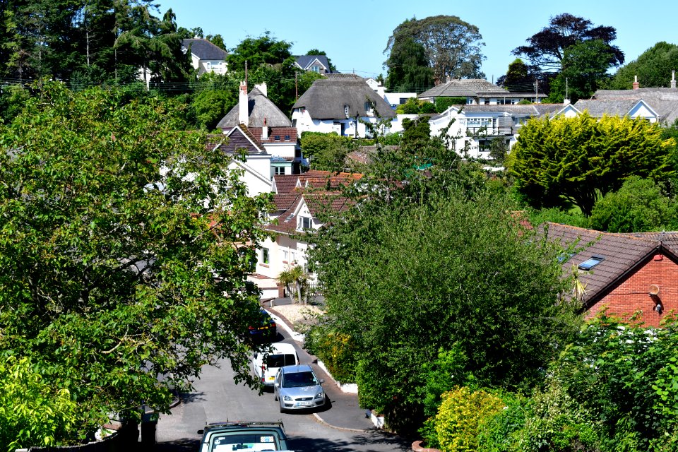 Ringmore (2021-07-18) 13