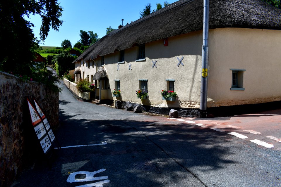 Ringmore (2021-07-18) 39