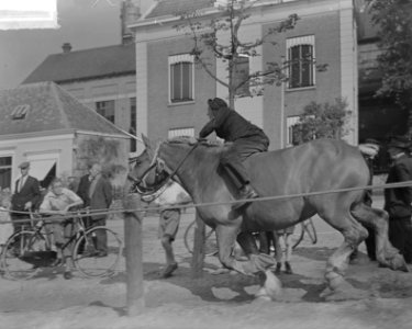 Ringsteken Middelburg, Bestanddeelnr 903-5686