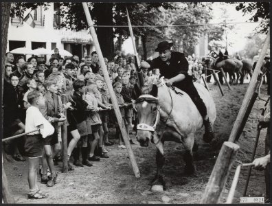 Ringsteken, wedstrijden, paarden, Bestanddeelnr 073-0824