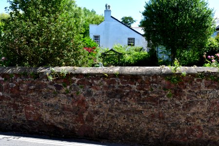 Ringmore (2021-07-18) 48
