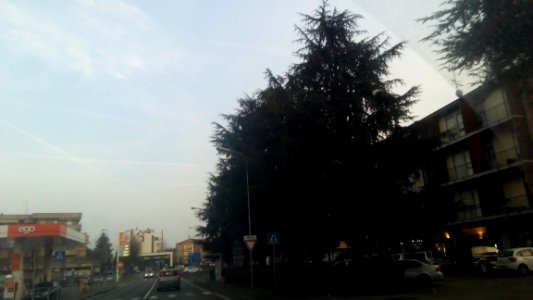 Rivalta(RE) 64