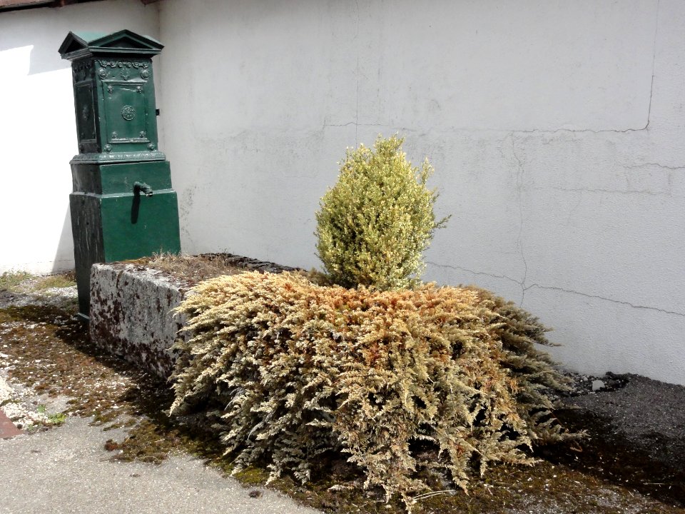 Rigny-Saint-Martin (Meuse) fontaine