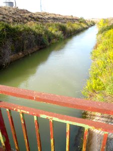 Rincón de Soto - Canal de Lodosa 2