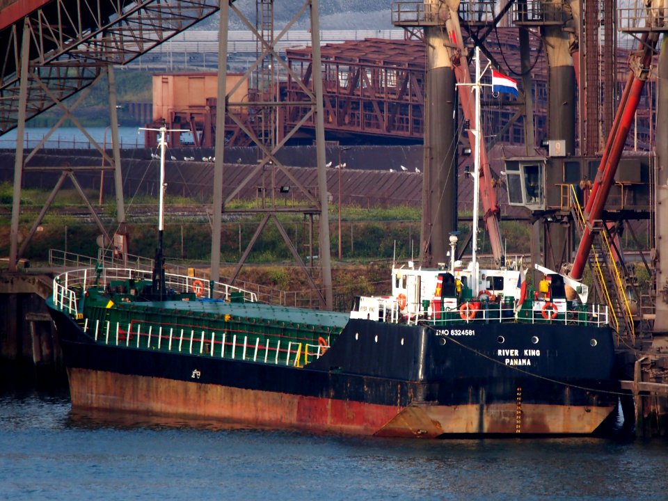 River King - IMO 8324581, Calandkanaal, Port of Rotterdam
