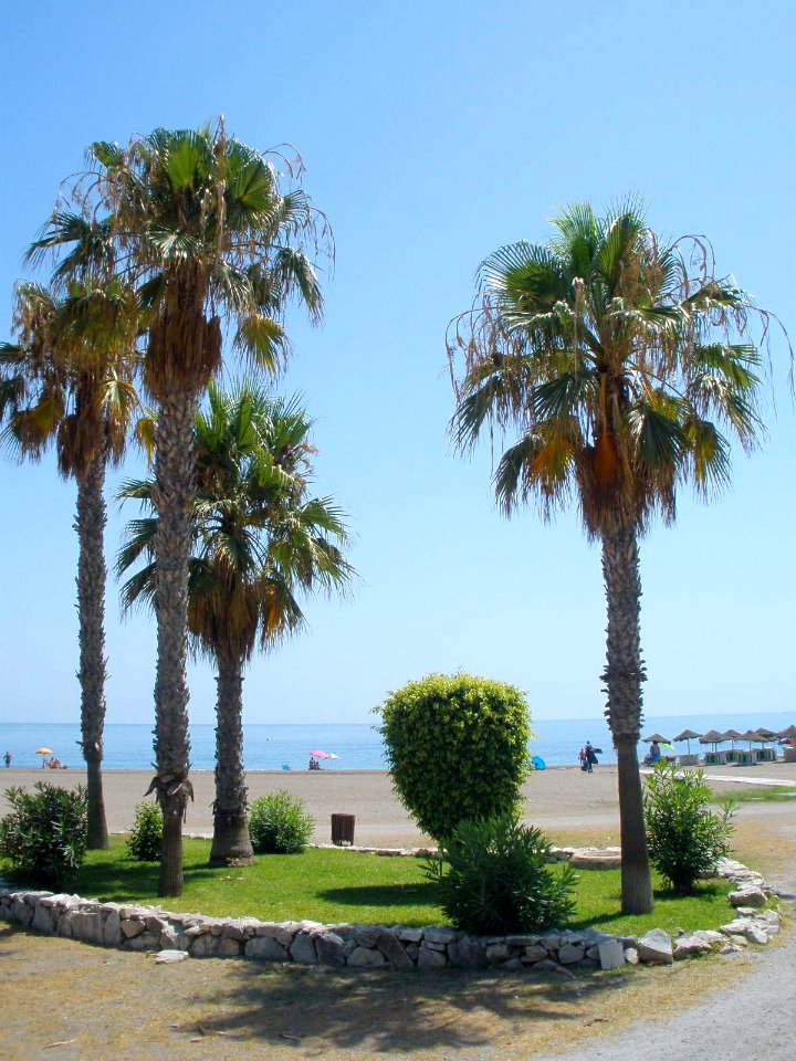 Rincón de la Victoria - La Cala del Moral, playa 05