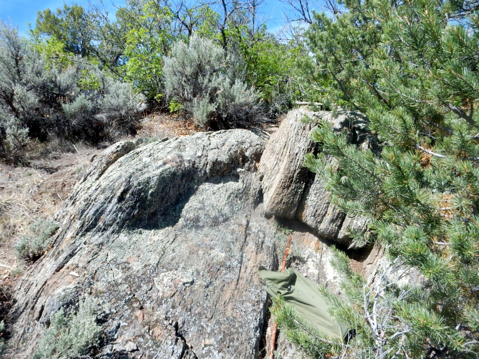 Rinconada Formation