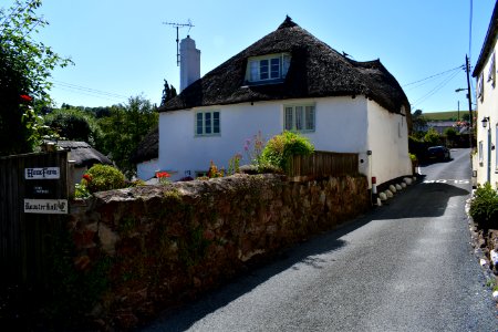Ringmore (2021-07-18) 32