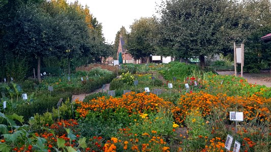 Rijkel-Historische Groentenhof (8)