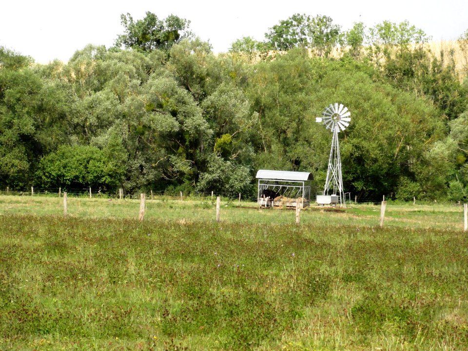 Rigny-la-Salle (Meuse) windwheel B