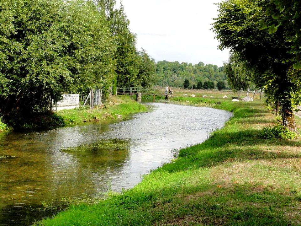Rigny-la-Salle (Meuse) Aroffe (Ruisseau de la Beaumelle) (01)