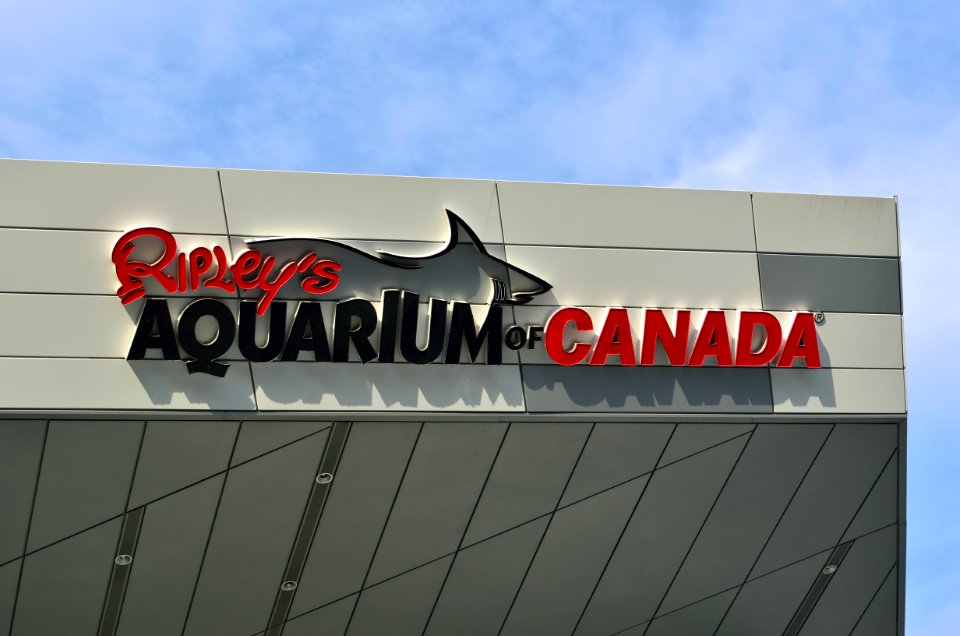 RipleysAquarium4