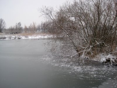 Rijkerswoerdse plassen in winter, Arnhem, the Netherlands