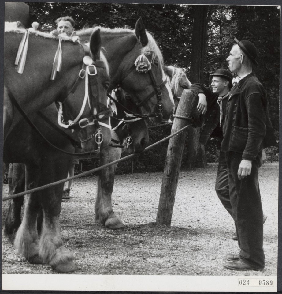 Ringsteken Middelburgpaarden en berijders, Bestanddeelnr 024-0589