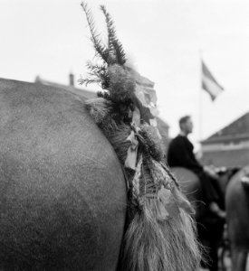 Ringrijden in Middelburg, Bestanddeelnr 904-1500