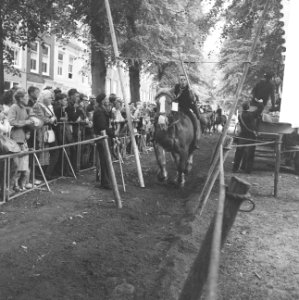 Ringrijden in Middelburg Boer op paard kwam aanrijden, Bestanddeelnr 912-8659
