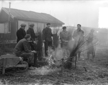 Rilland Bath gaat in vierde weg dragen riet bij vuurtje, Bestanddeelnr 905-5791