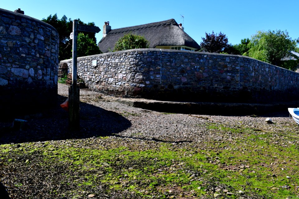Ringmore (2021-07-18) 18