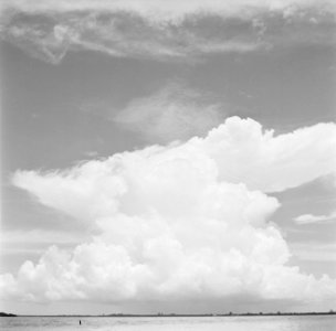Riviergezicht in Suriname, Bestanddeelnr 252-2642