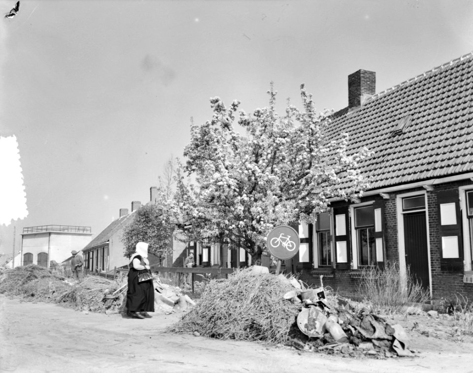 Rilland Bath terugkeer bewoners (boerin), Bestanddeelnr 905-6805