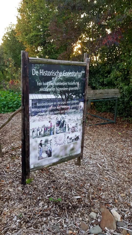 Rijkel-Historische Groentenhof (1)