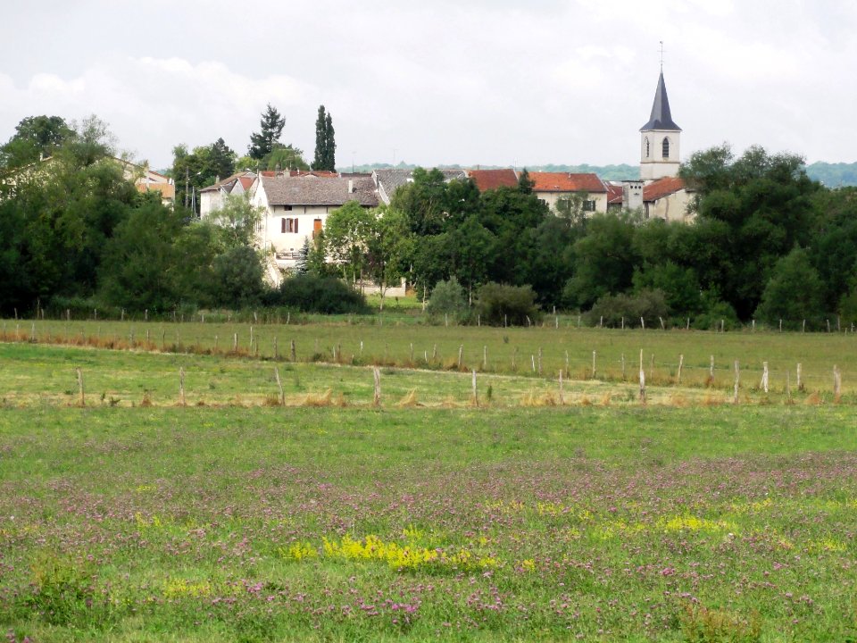 Rigny-la-Salle (Meuse) vue du village