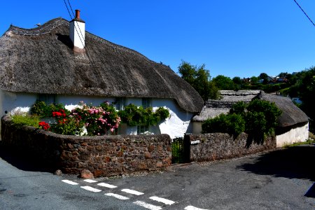 Ringmore (2021-07-18) 33