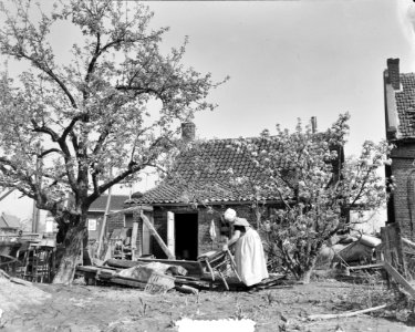 Rilland Bath terugkeer bewoners. Boerin met bloesem, Bestanddeelnr 905-6807